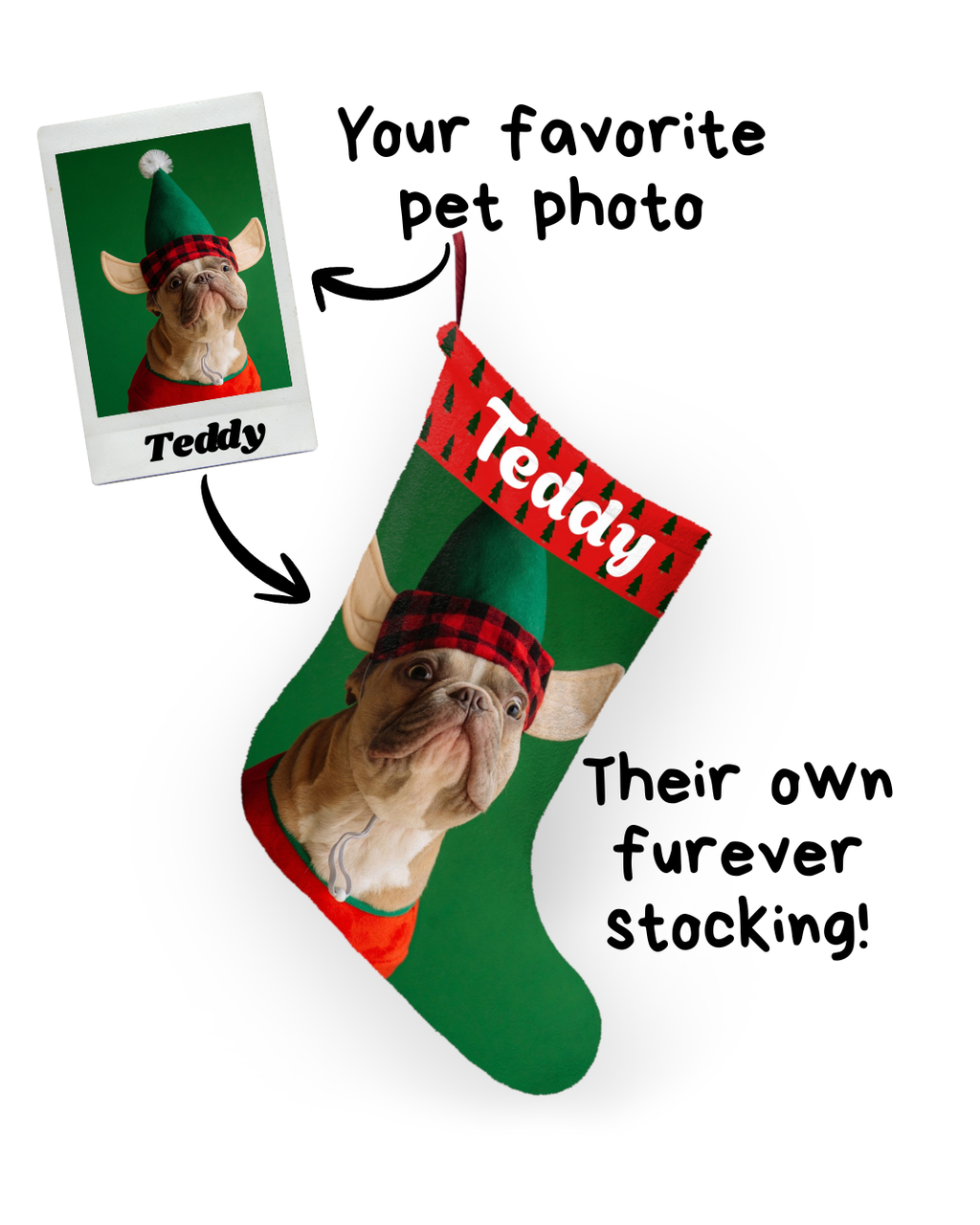 Santa Paws Portrait Stocking