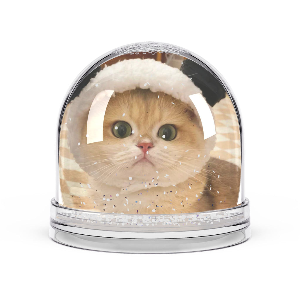 Custom Pet Snow Globe