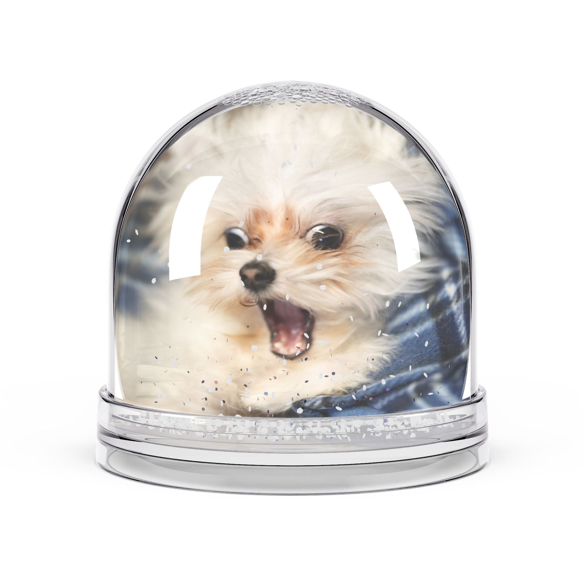 Custom Pet Snow Globe