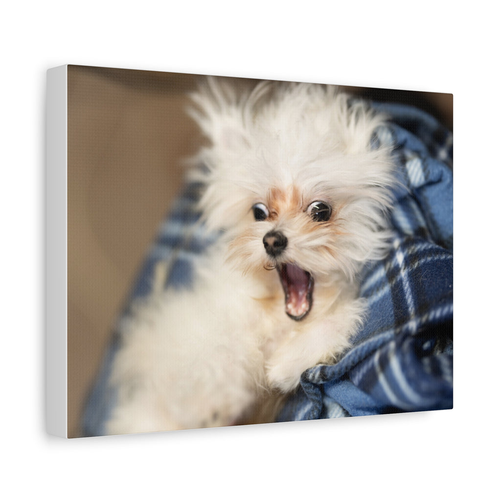 Personalized Pet Canvas