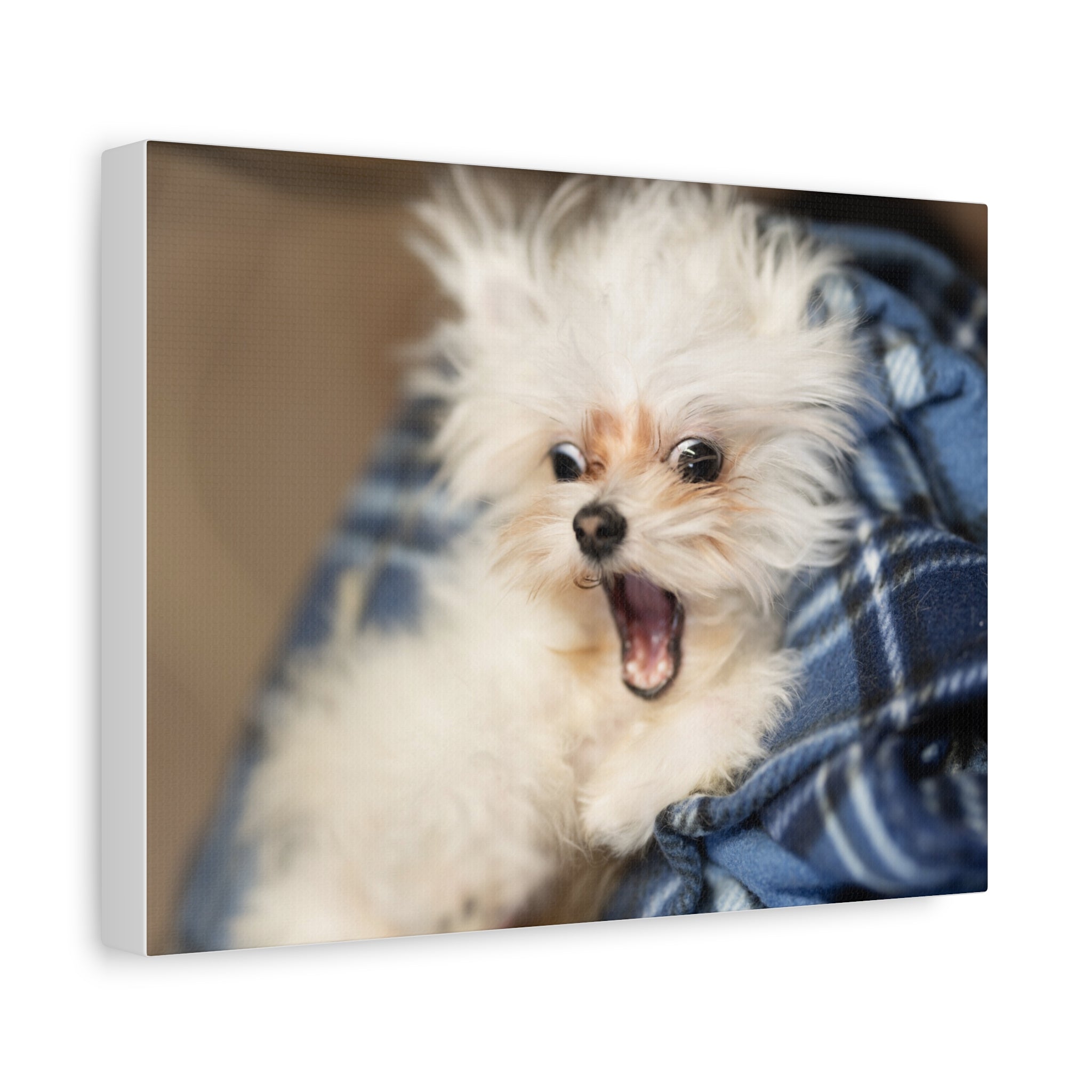 Personalized Pet Canvas