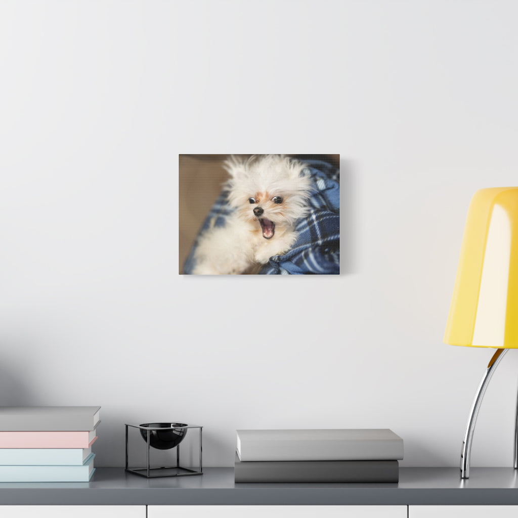 Personalized Pet Canvas