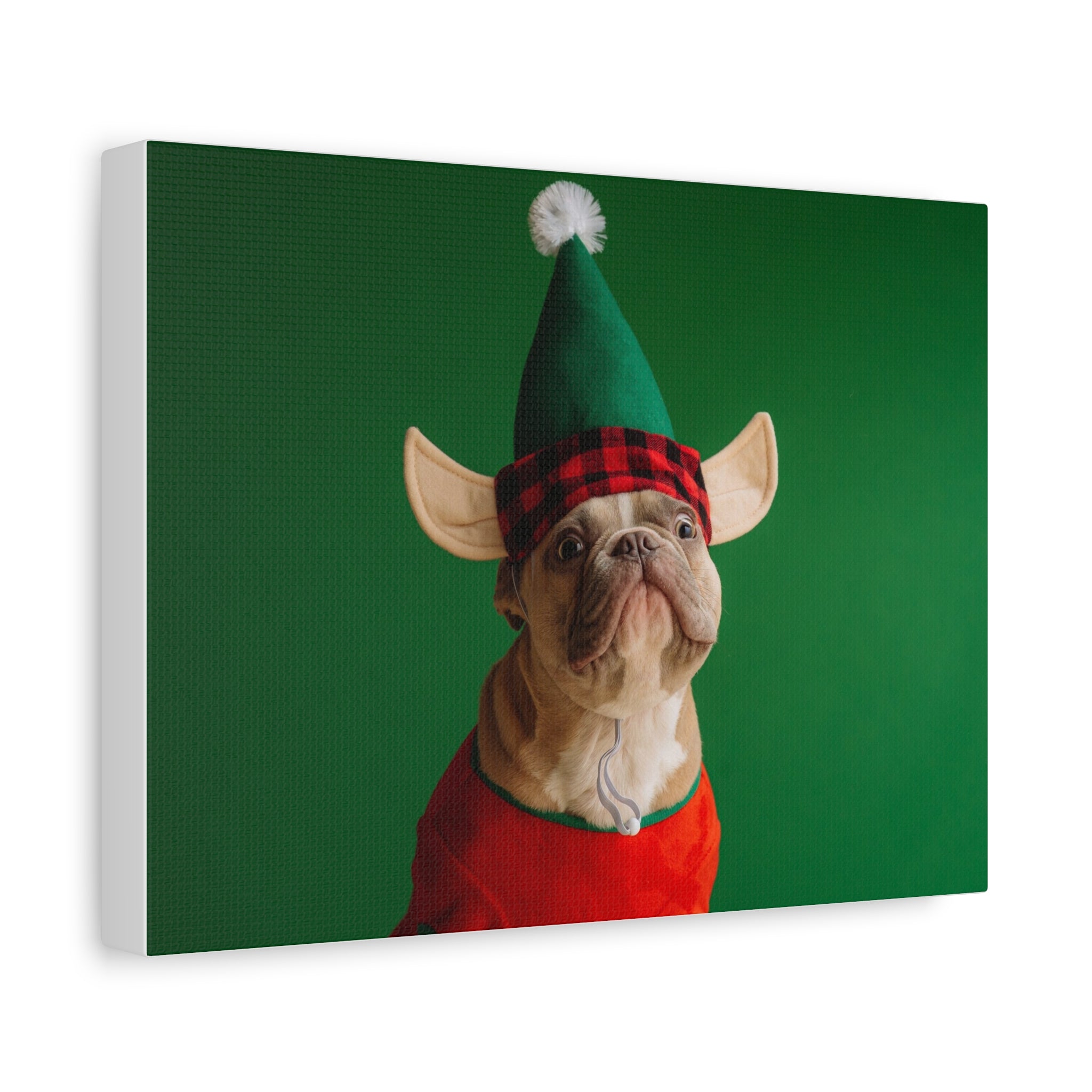 Personalized Pet Canvas