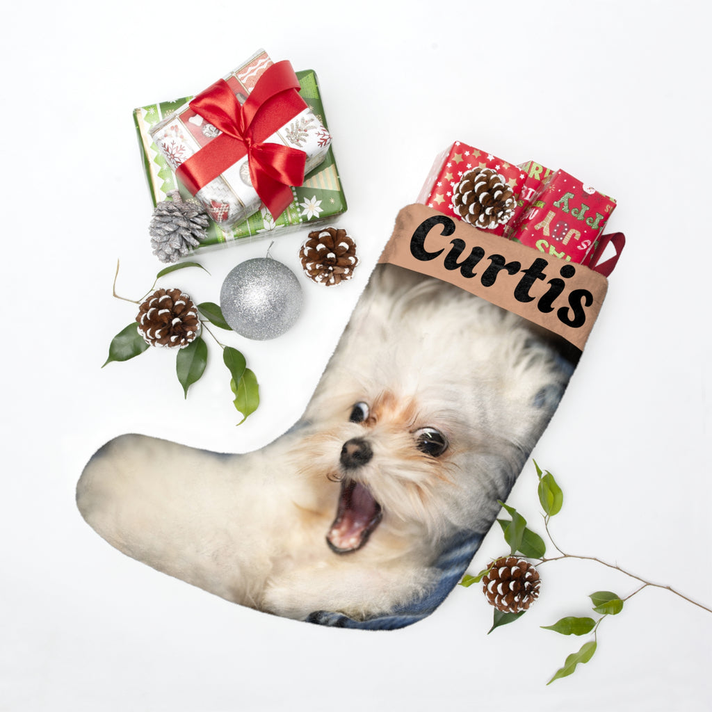 Santa Paws Portrait Stocking