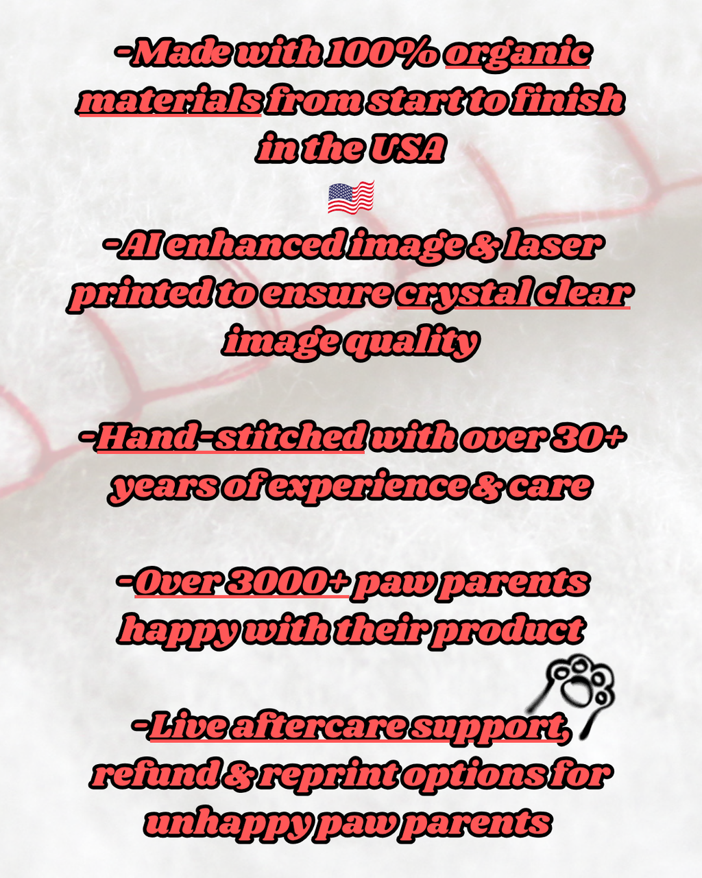 Plush Pet Photo Blanket